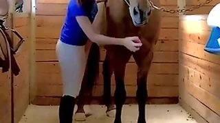 Multi Porn Videos 12